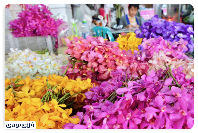 Bangkok Flower Market