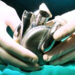 Bivacor artificial heart