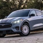 Mustang sale has fallen sharply