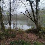 Noshahr Lake Nature, Photo Source: Google Map, Photographer: Moshaverin Consultants