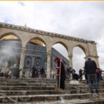 Ramadan in Palestine; From cooking