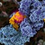Scientists first captured pictures of cancer secret strategy