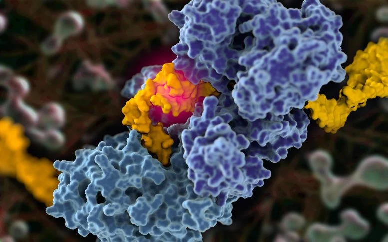 Scientists first captured pictures of cancer secret strategy