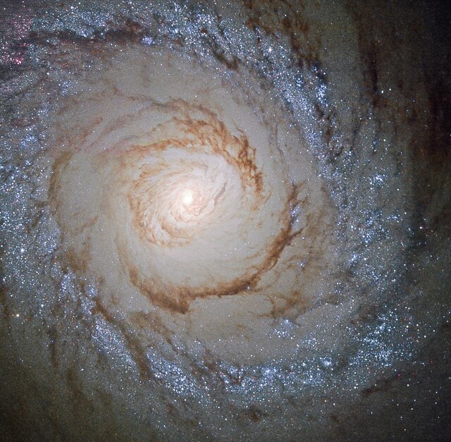 Starry explosion in the spiral galaxy