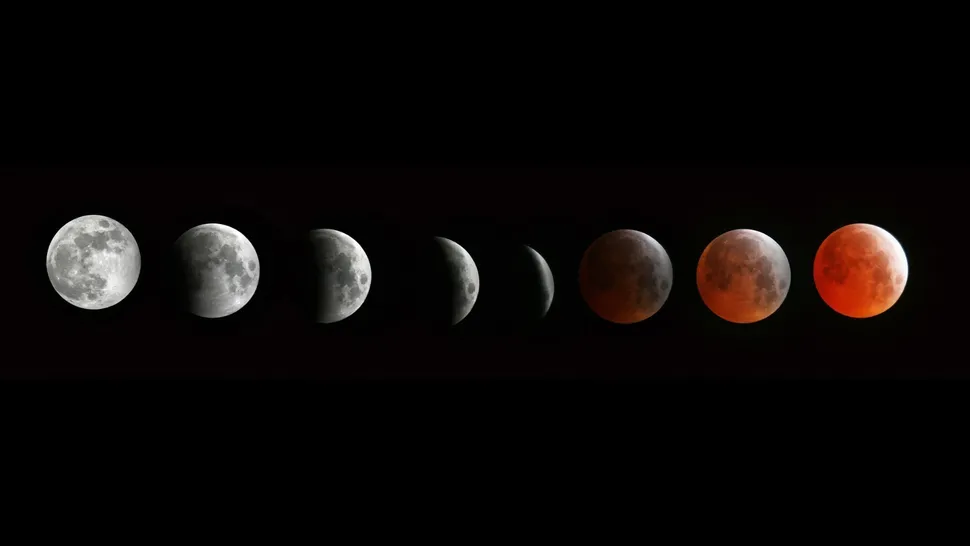 What effect does the moonlight have on the moon's explorators?