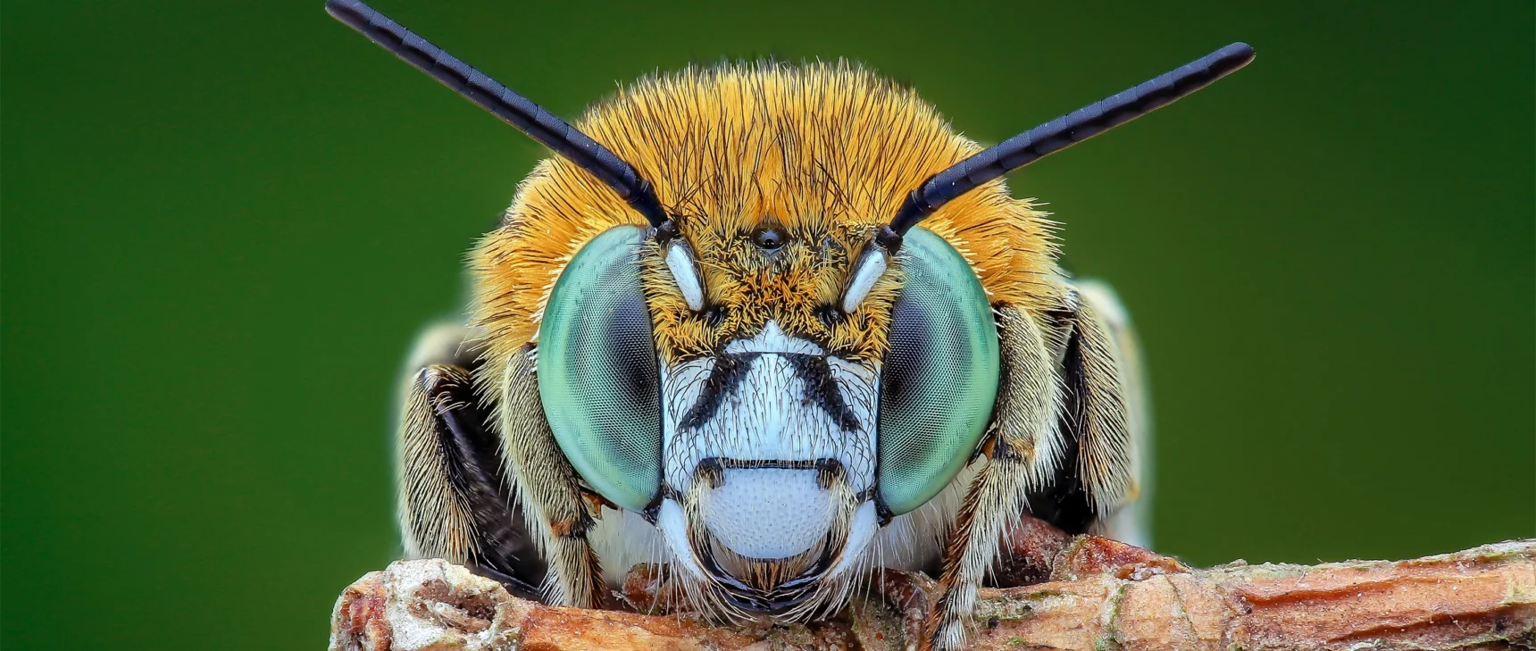 What did we bring to biologists the year?