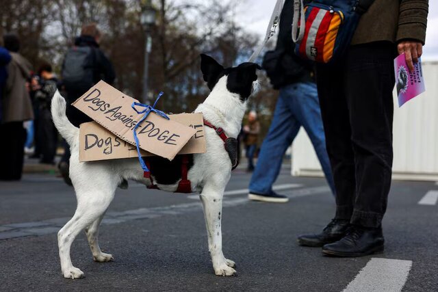 Demonstrations against Trump and Mask all over Europe