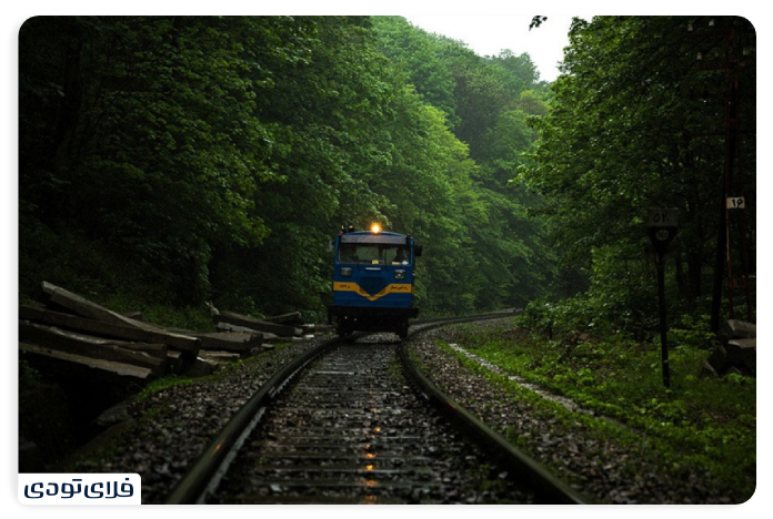 Travel by train to the forest of Al -Nadra