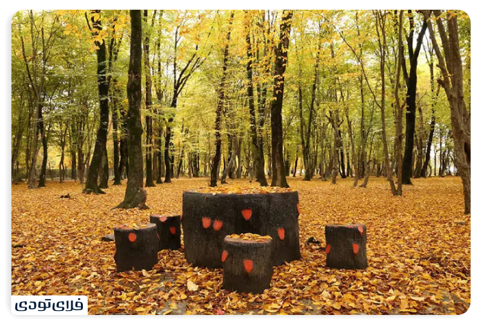 Elvadra Forest and Animal Coating