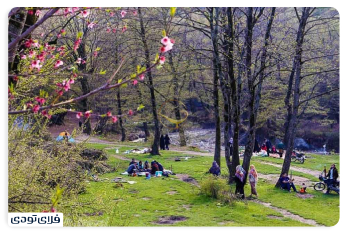 Photography in Gorgan's Al -Nadra Park