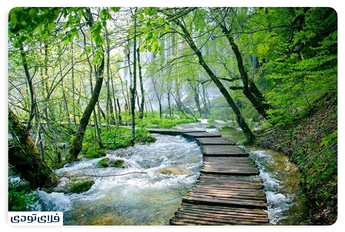 The River Qalashi