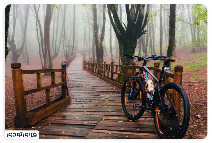 Al -Nadra Forest Park facilities