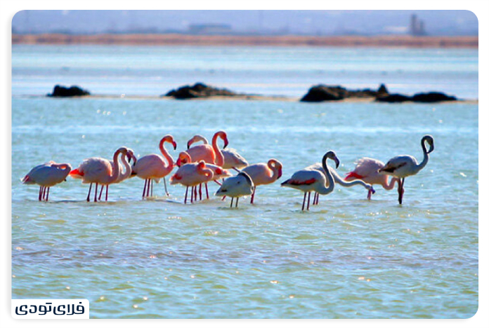 Lake Hamoon History of our wetland