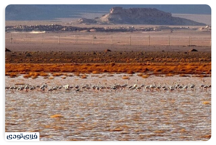 Lake Hamoon What is the climate of Lake Hamoon Zabul?