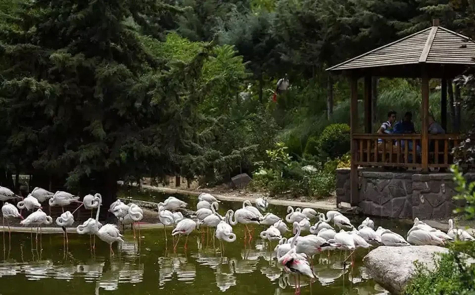 Tehran Bird Garden