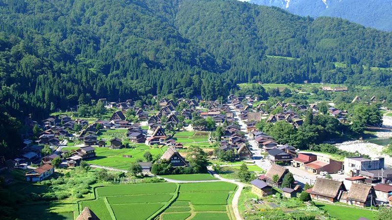 The pristine nature of the mouain in the Japanese Shimagar