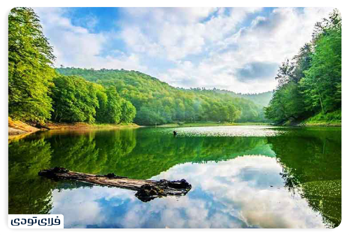 The best time to travel to the Dalkhani forest