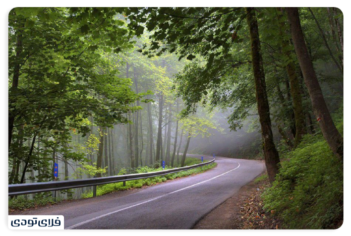 Facilities and Facilities of the Dalkhani Forest in Ramsar