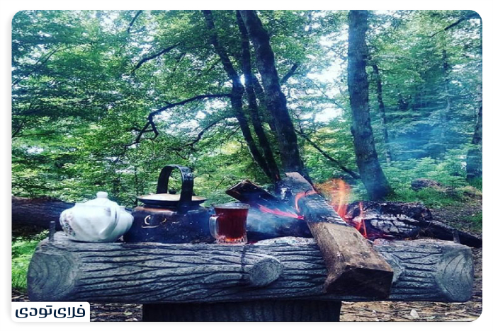 Importa Tips for Traveling to the Dalkhani Forest of Ramsar