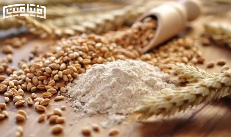 Nutritional value of wheat germ powder
