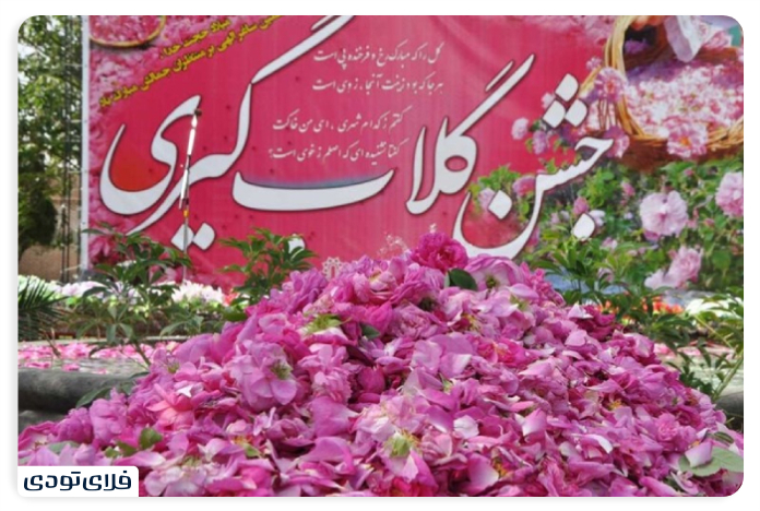 Niasser Rose