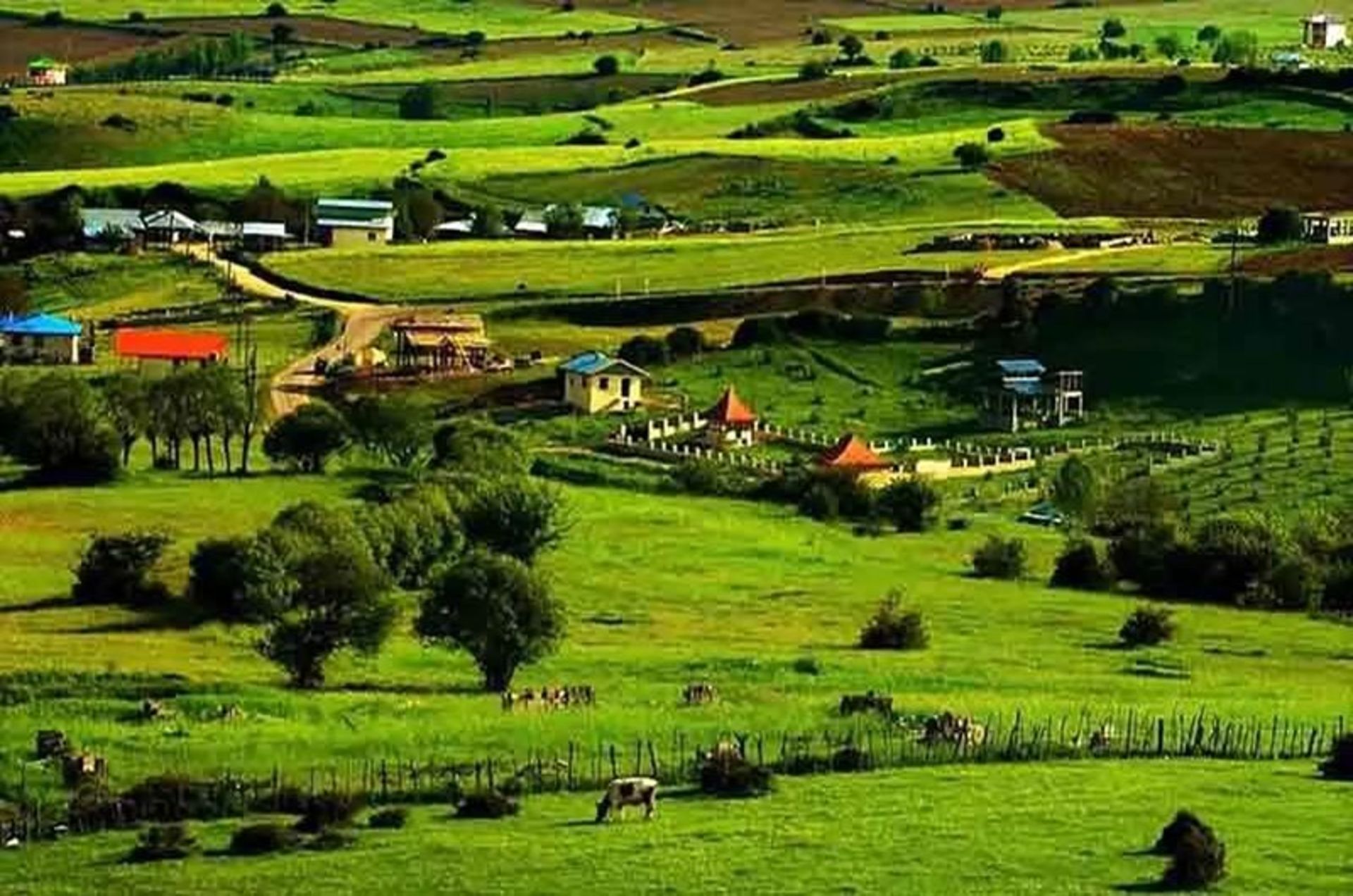 Nature of Dilman Gilan