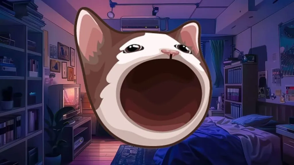 What are the best Mim Quinn? Popcat (popcat)