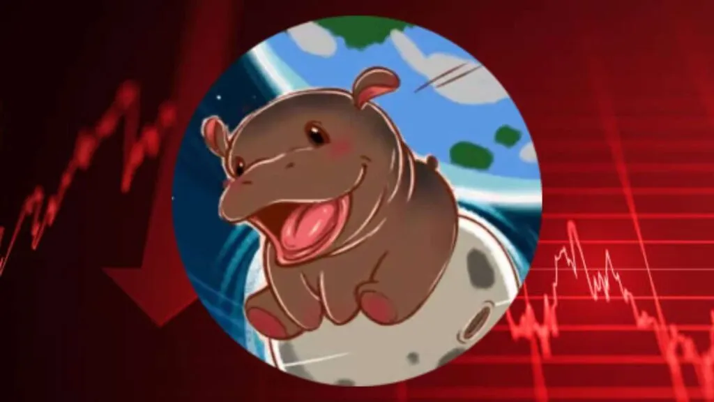 What are the best Mim Quinn? Dong Hair (MoodEng)