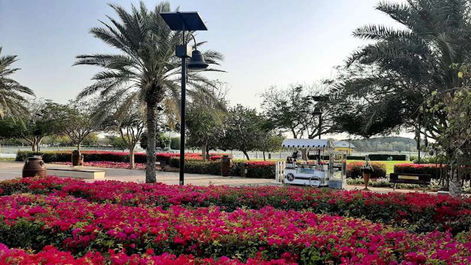 The nature of the Albertha Park Dubai