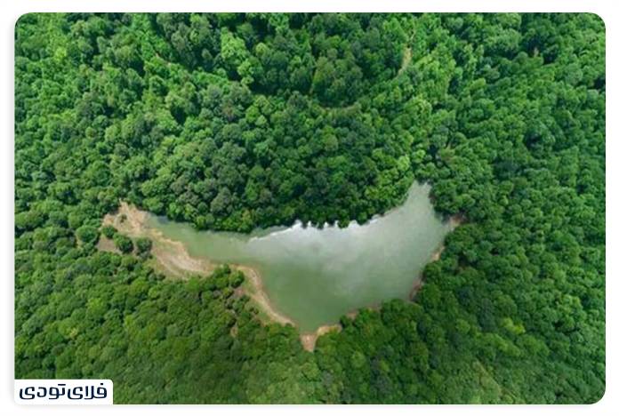 Lake Chort | Touching the pristine nature of Mazandaran