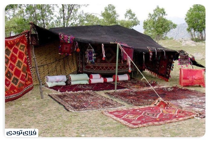 Arjan plain nomadic tes