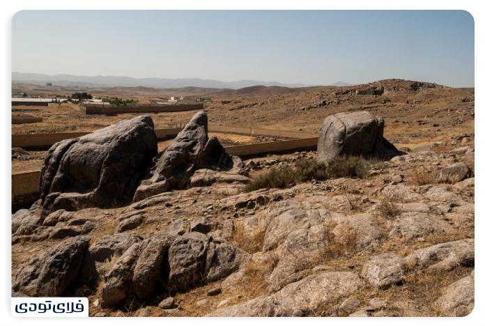 Camel stone stone