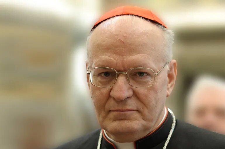 Iroduction to the most importa alternatives to Pope Francis + Biography 