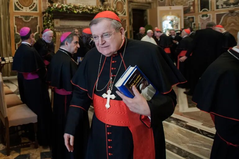 Iroduction to the most importa alternatives to Pope Francis + Biography 