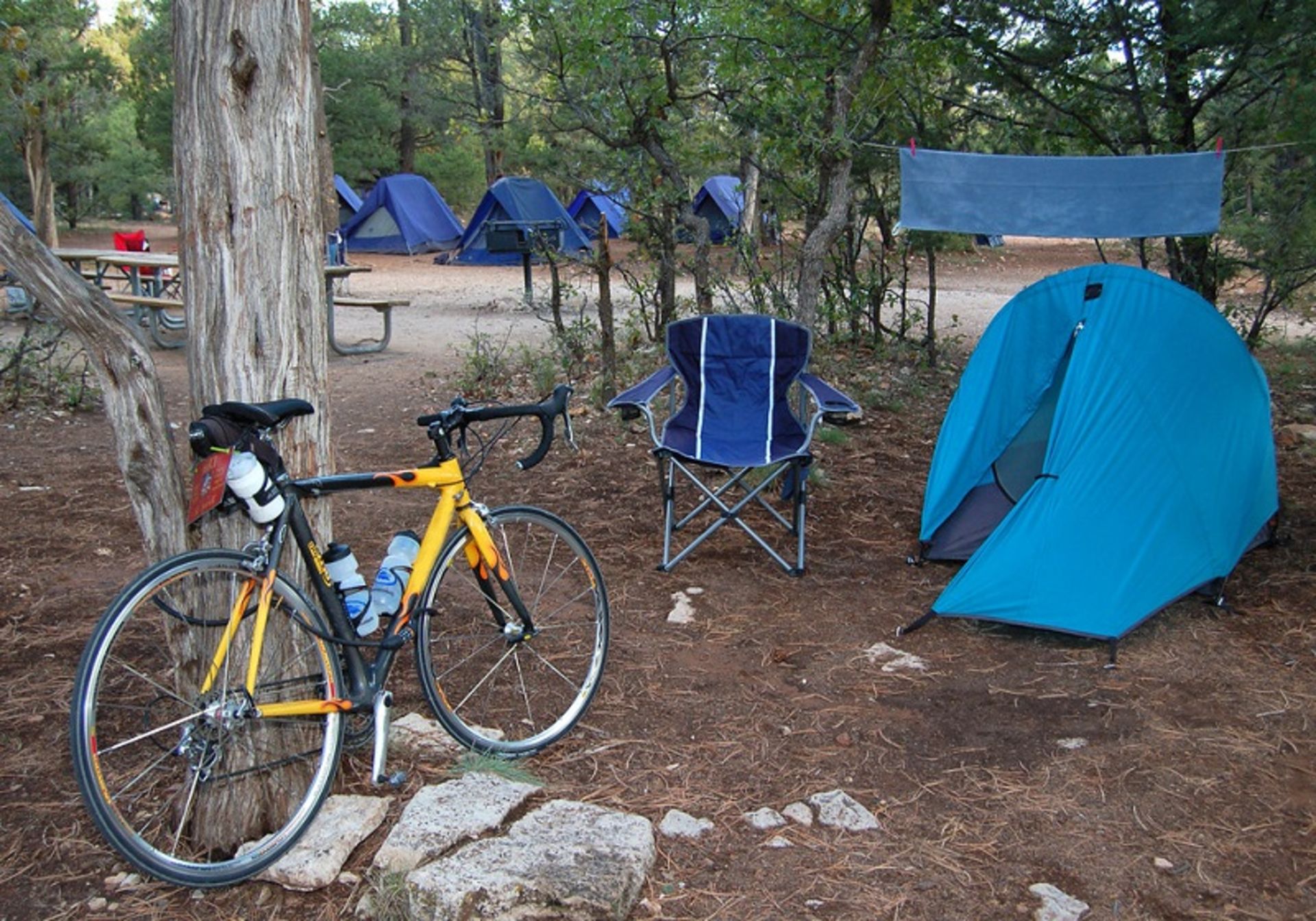 Camp