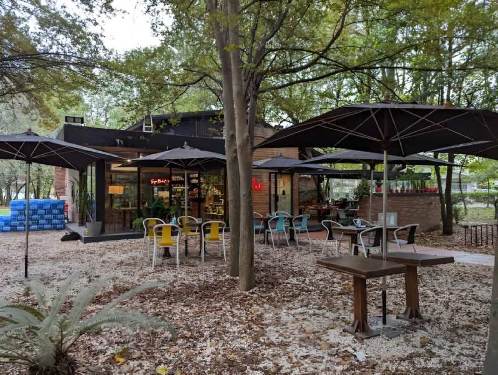 Rasht Cafe Book Book