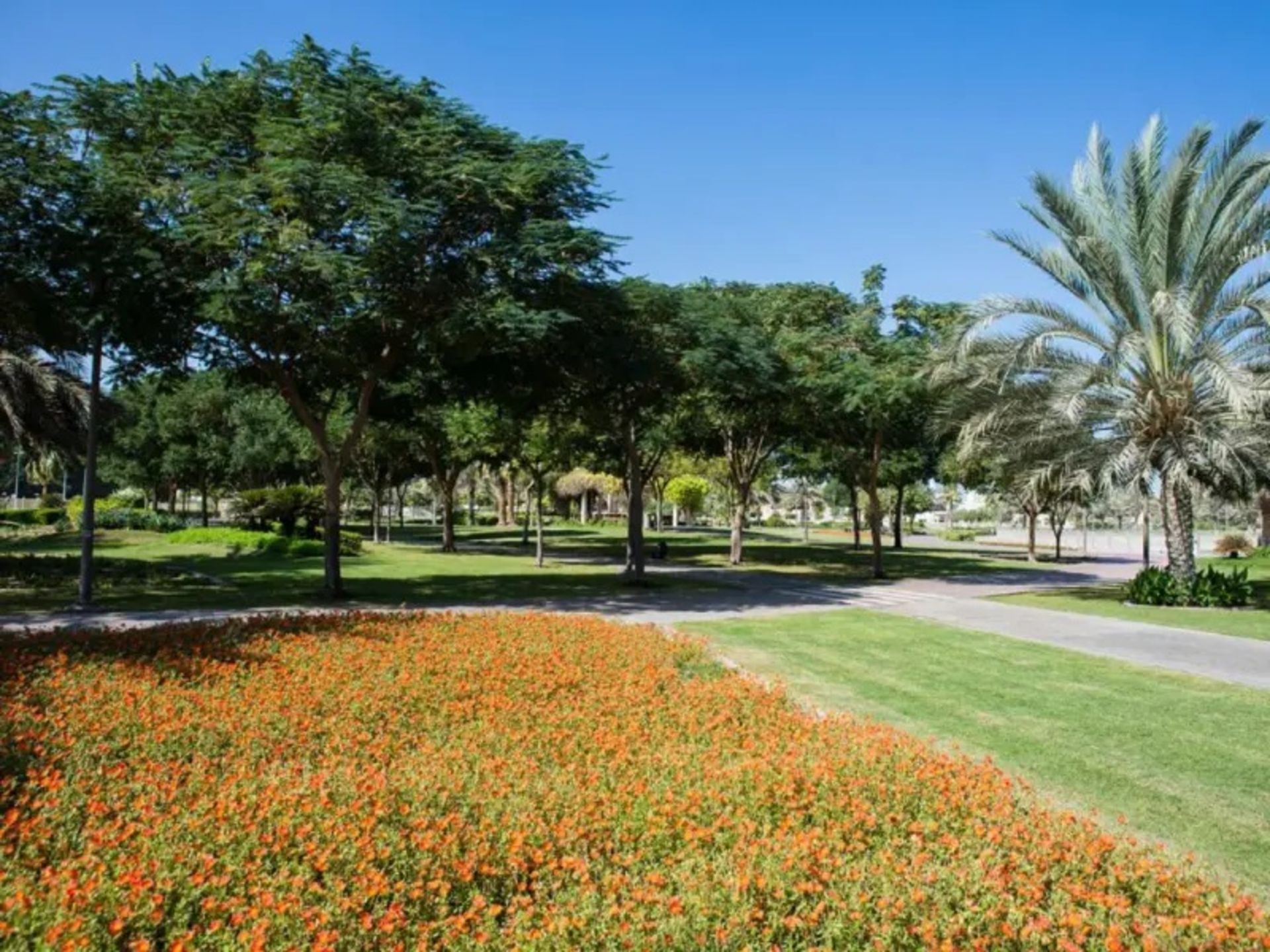 Nature of Alborha Park