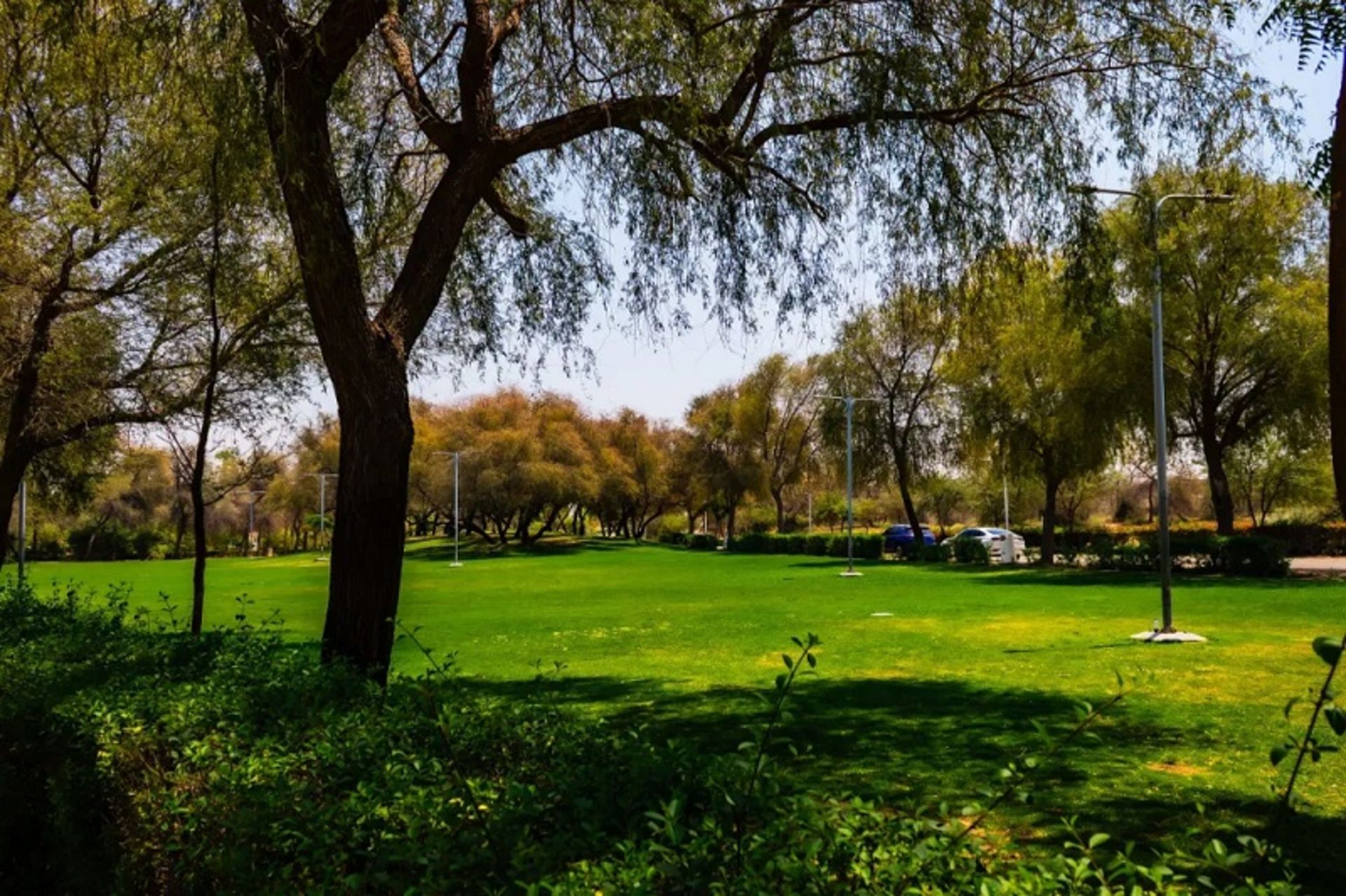 The green space of the Moshraf Park