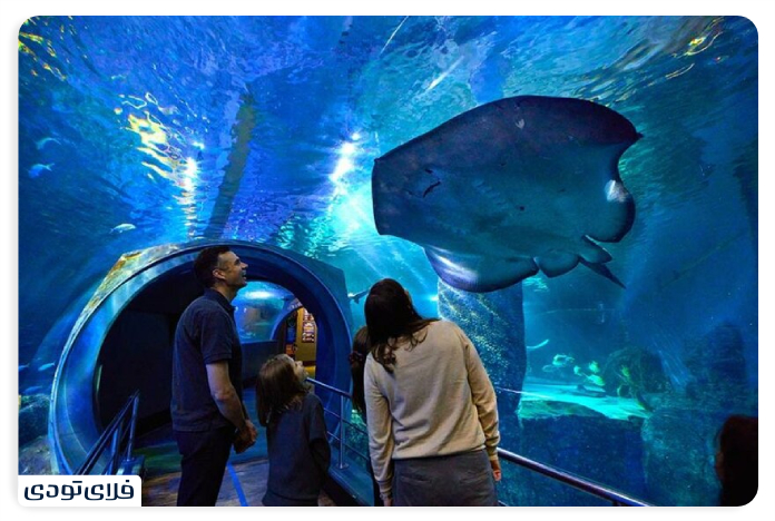 Aquarium C. Life Melbourne