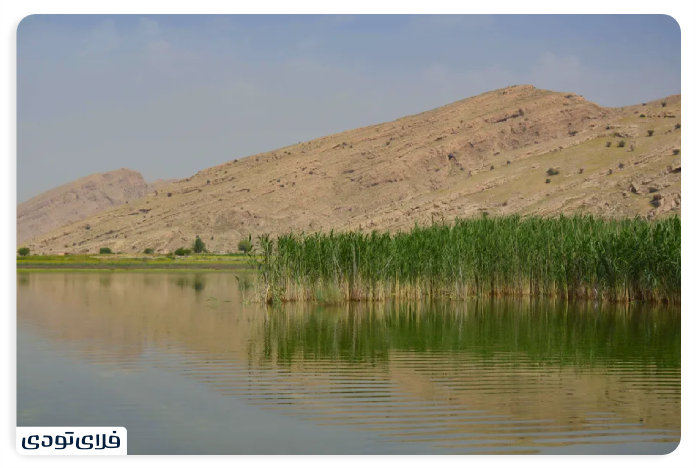 Lake Parishan Lake Parishan's vegetation and animal