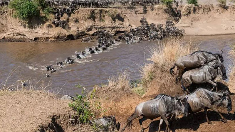 West Kenya