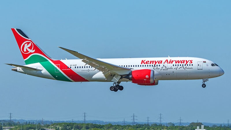 Kenya Safari Guide: Surfing around
