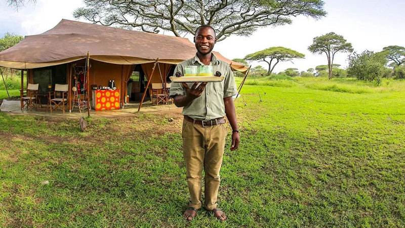 Giving up on Safari Africa