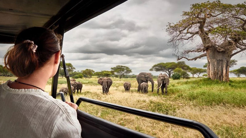 Health and Safety in Kenya Safari