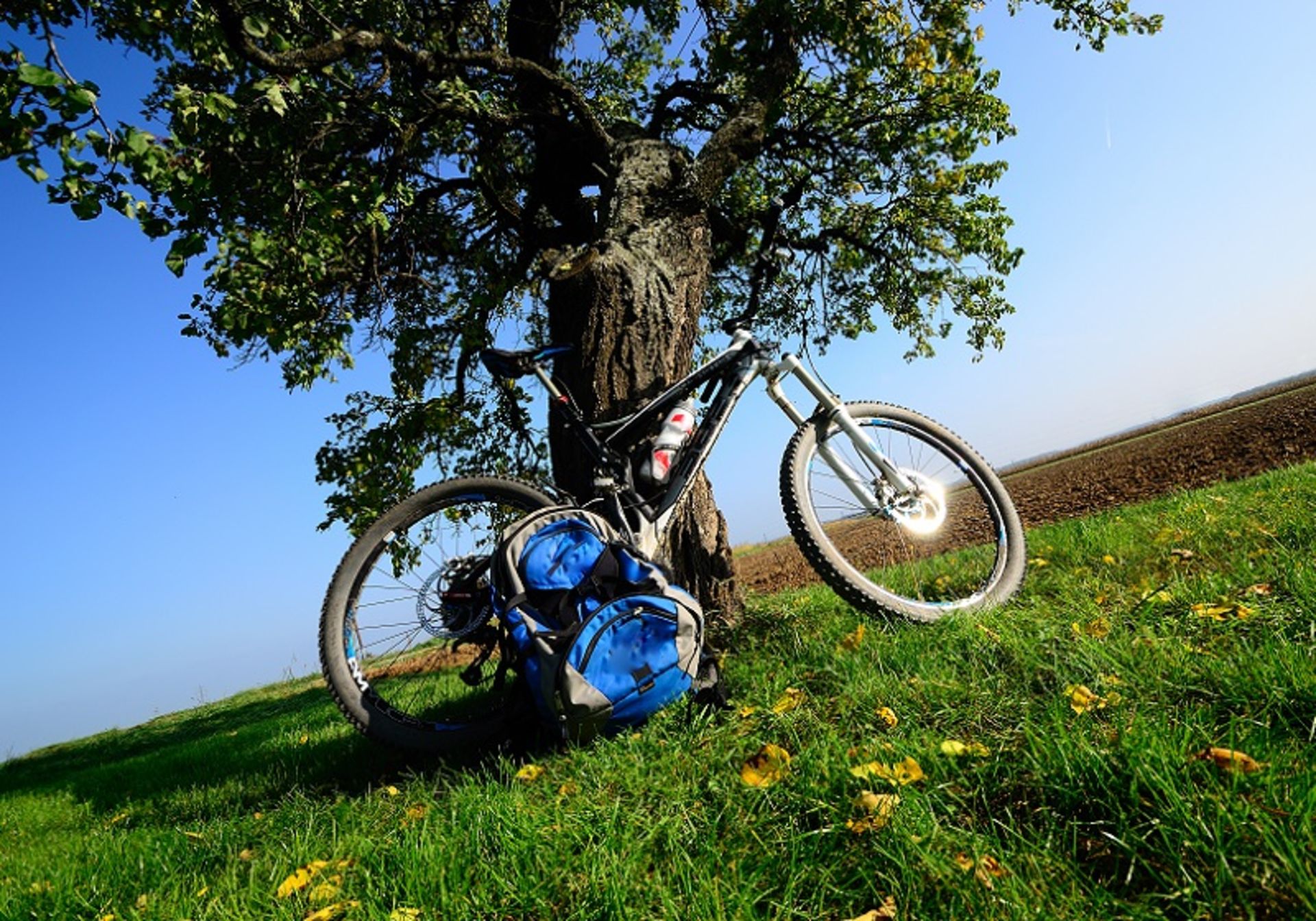Tourist bike