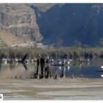 Where is the Lake Distressed?