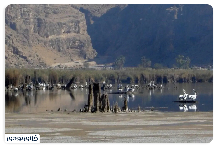 Where is the Lake Distressed?
