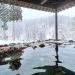Introducing Unions: A Japanese Hot Springs World