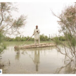 Where is our wetland?