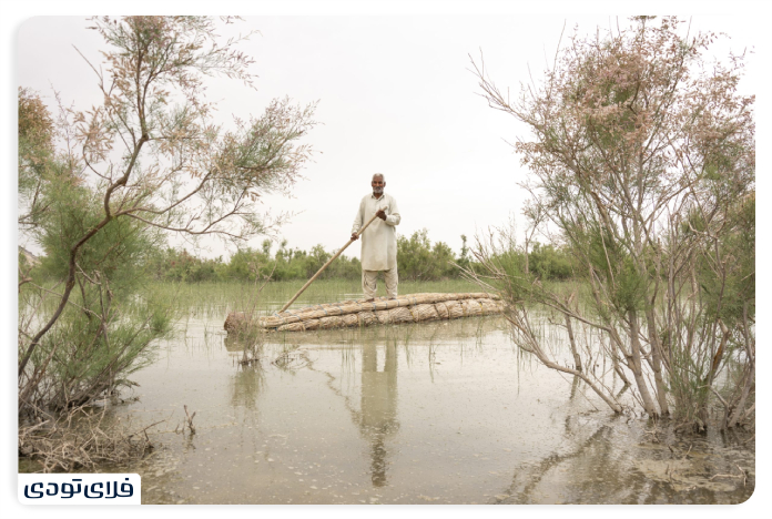 Where is our wetland?